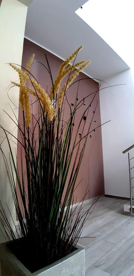 B&B Filieri Санта Мария ал Баньо Екстериор снимка